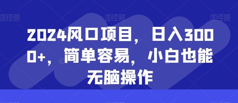 2024风口项目，日入3000+，简单容易，小白也能无脑操作-天使资源网