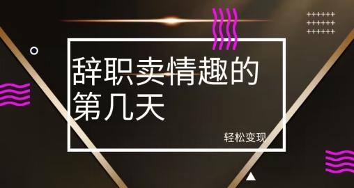 冷门赛道，辞职卖情趣的第几天，超暴力项目-天使资源网