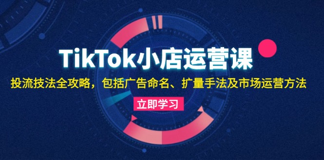 TikTok小店运营课：投流技法全攻略，包括广告命名 扩量手法及市场运营方法-天使资源网