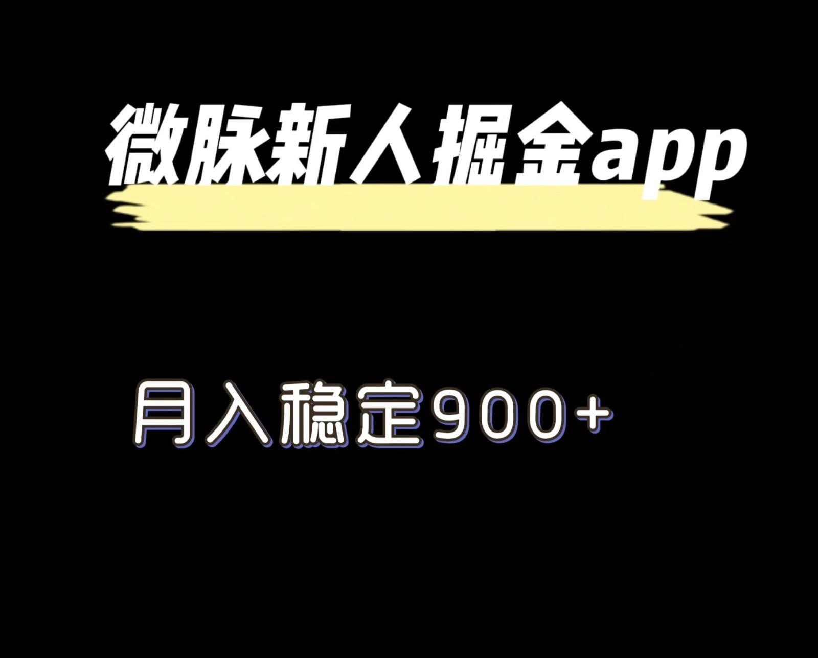 最新微脉长久项目，拉新掘金，月入稳定900+-天使资源网