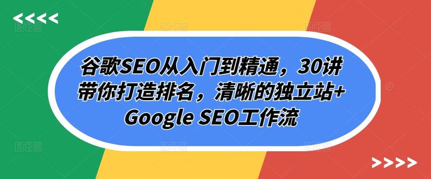 谷歌SEO从入门到精通，30讲带你打造排名，清晰的独立站+Google SEO工作流-天使资源网