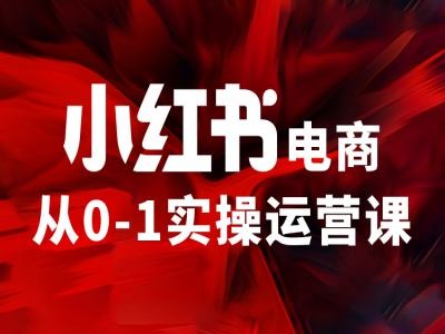 小红书电商从0-1实操运营课，让你从小白到精英-天使资源网