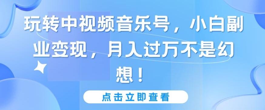 玩转中视频音乐号，小白副业变现，月入过万不是幻想【揭秘】-天使资源网