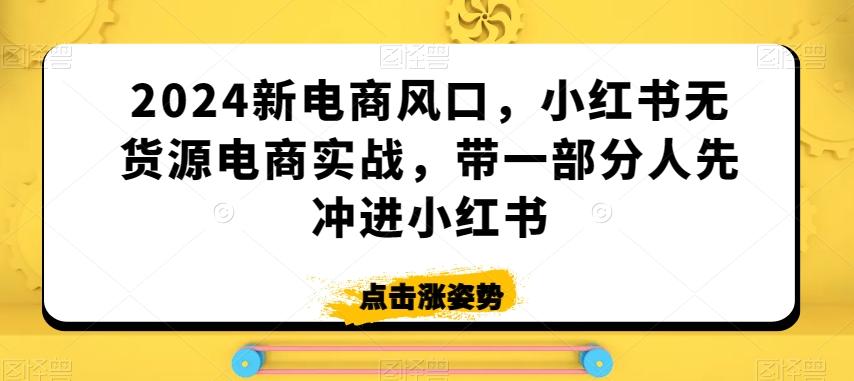 2024新电商风口，小红书无货源电商实战，带一部分人先冲进小红书-天使资源网
