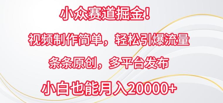 小众赛道掘金，视频制作简单，轻松引爆流量，条条原创，多平台发布【揭秘】-天使资源网