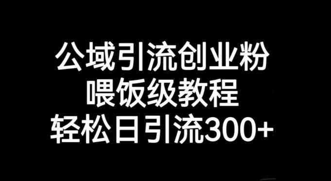 公域引流创业粉，喂饭级教程，轻松日引流300+【揭秘】-天使资源网