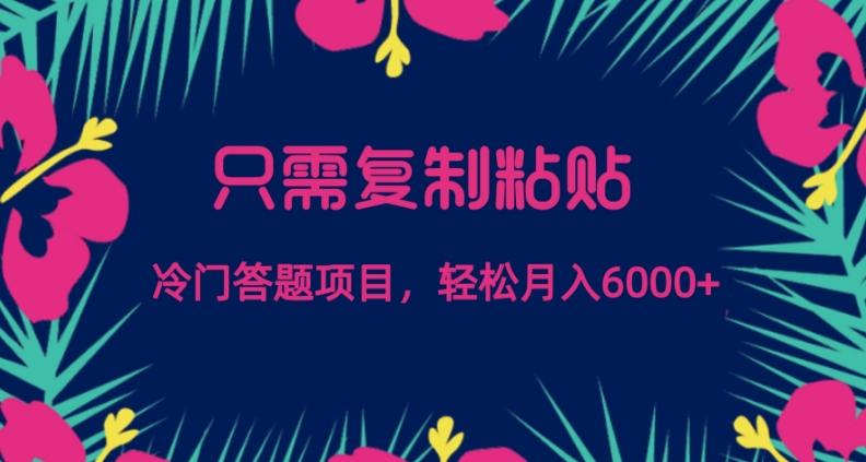 只需复制粘贴，冷门答题项目，轻松月入6000-天使资源网
