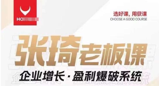 【组合课】张琦张琦老板企业增长·盈利爆破系统（直播专享）-天使资源网