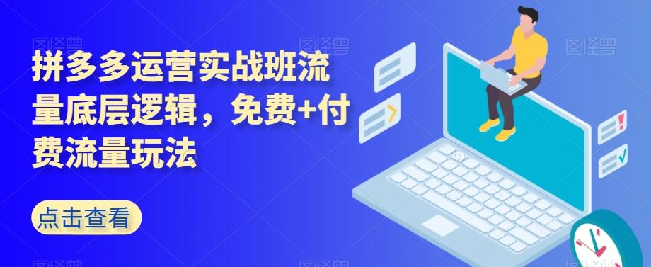 拼多多运营实战班流量底层逻辑，免费+付费流量玩法-天使资源网