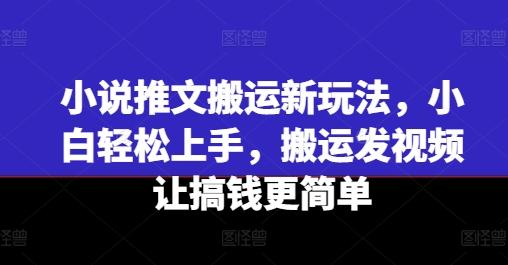 小说推文搬运新玩法，小白轻松上手，搬运发视频让搞钱更简单-天使资源网