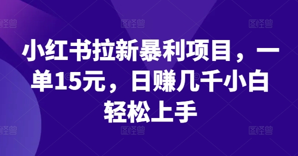 小红书拉新暴利项目，一单15元，日赚几千小白轻松上手【揭秘】-天使资源网
