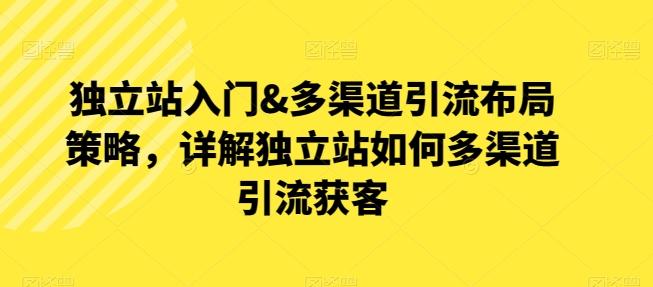 独立站入门&多渠道引流布局策略，详解独立站如何多渠道引流获客-天使资源网