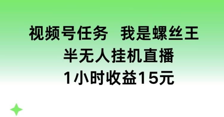 视频号任务，我是螺丝王， 半无人挂机1小时收益15元【揭秘】-天使资源网
