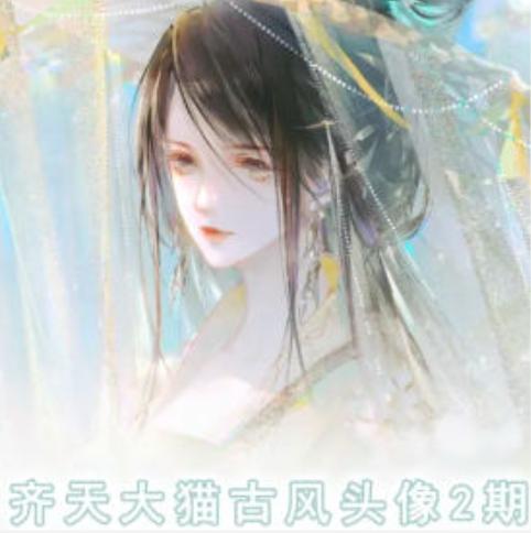 齐天大猫古风头像课第2期，帮助您提高您的绘画技能-天使资源网
