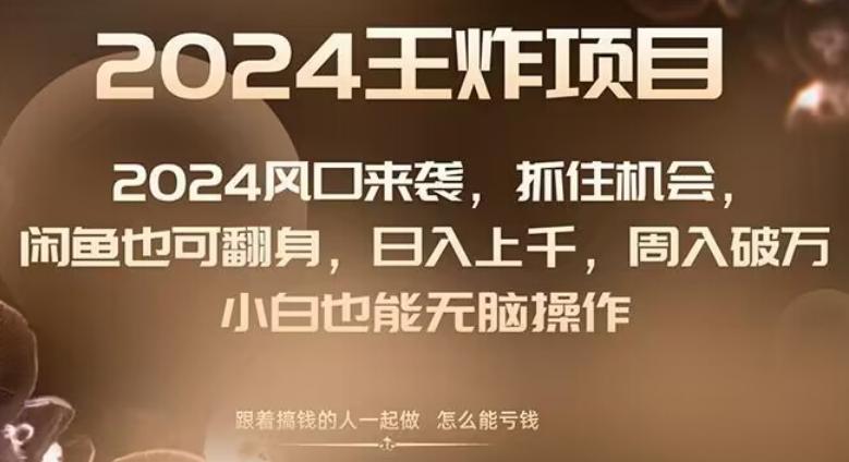 2024风口项目来袭，抓住机会，闲鱼也可翻身，日入上千，周入破万，小白也能无脑操作-天使资源网