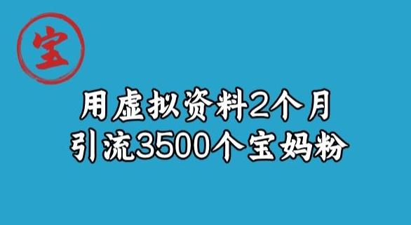 宝哥虚拟资料项目，2个月引流3500个宝妈粉-天使资源网