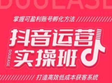 抖音运营实操班，掌握可盈利账号孵化方法，打造高效低成本获客系统-天使资源网