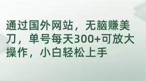 通过国外网站，无脑赚美刀，单号每天300+可放大操作，小白轻松上手【揭秘】-天使资源网
