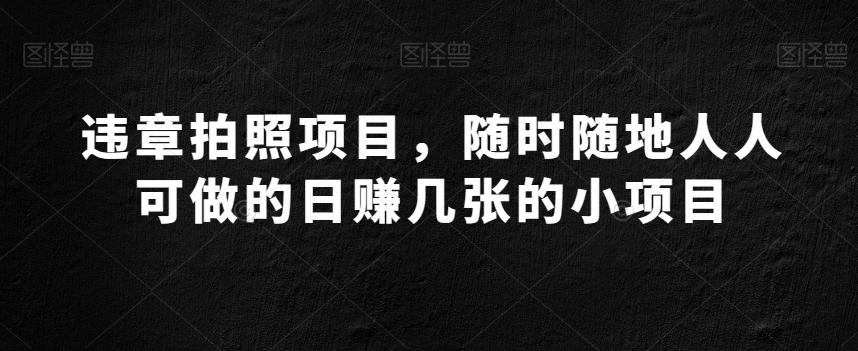 违章拍照项目，随时随地人人可做的日赚几张的小项目-天使资源网