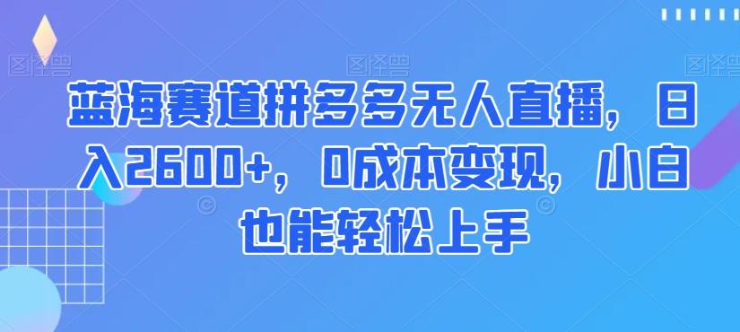 蓝海赛道拼多多无人直播，日入2600+，0成本变现，小白也能轻松上手【揭秘】-天使资源网