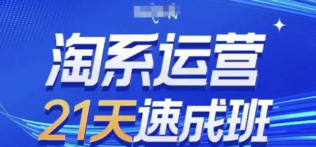 淘系运营21天速成班(更新24年6月)，0基础轻松搞定淘系运营，不做假把式-天使资源网