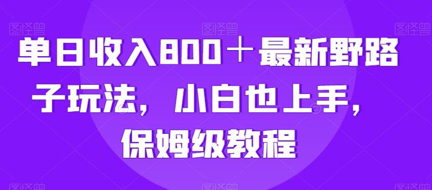 单日收入800＋最新野路子玩法，小白也上手，保姆级教程-天使资源网