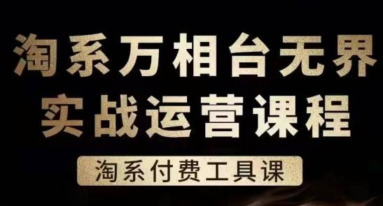 淘系万相台无界实战运营课，淘系付费工具课-天使资源网