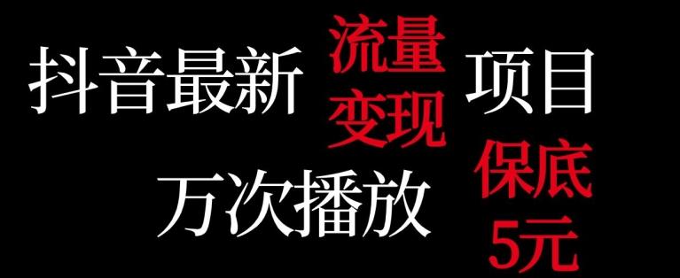 抖音流量变现，万次播放保底5元，额外收入-天使资源网