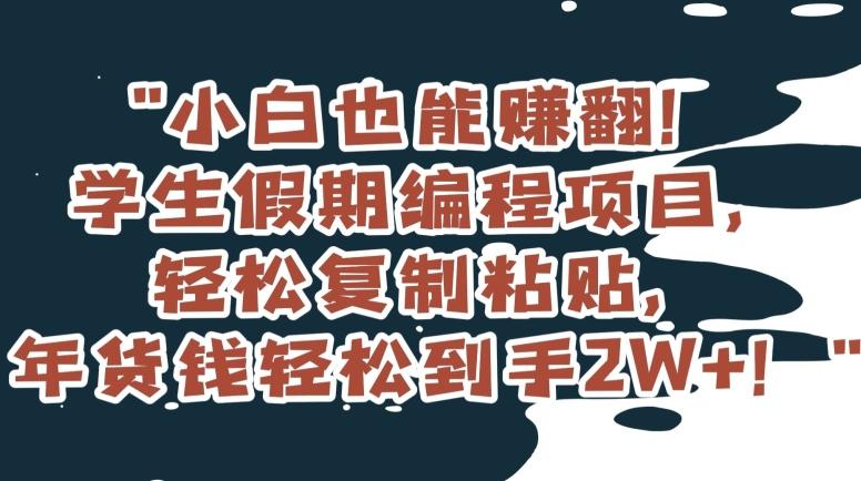 小白也能赚翻！学生假期编程项目，轻松复制粘贴，年货钱轻松到手2W+【揭秘】-天使资源网