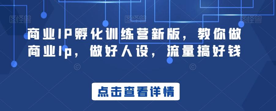 商业IP孵化训练营新版，教你做商业Ip，做好人设，流量搞好钱-天使资源网