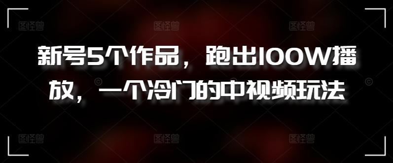 新号5个作品，跑出100W播放，一个冷门的中视频玩法【揭秘】-天使资源网