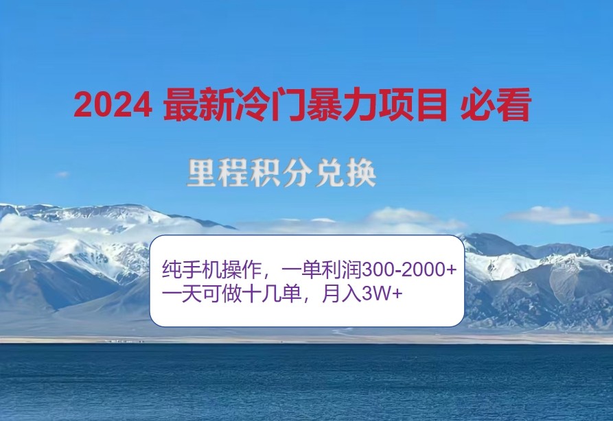 2024惊爆冷门暴利，里程积分最新玩法，高爆发期，一单300+—2000+-天使资源网