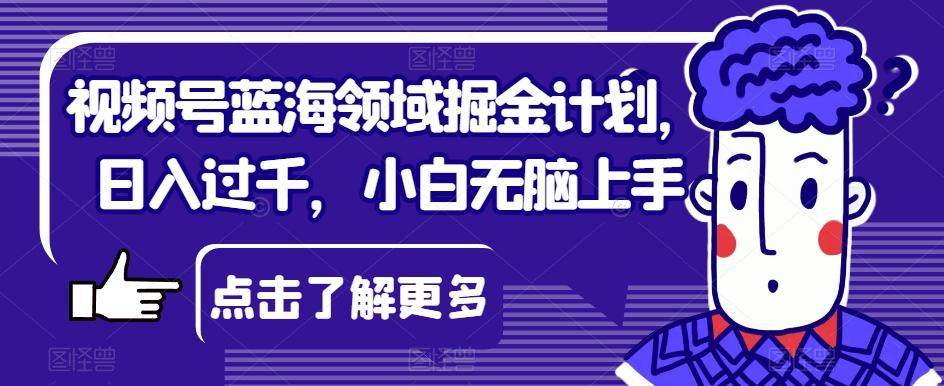 视频号蓝海领域掘金计划，日入过千，小白无脑上手【揭秘】-天使资源网
