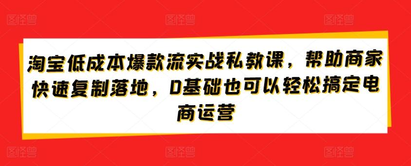 淘宝低成本爆款流实战私教课，帮助商家快速复制落地，0基础也可以轻松搞定电商运营-天使资源网