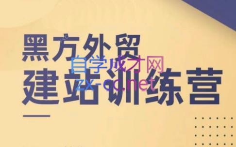 黑方老师·谷歌B端独立站建站推广-天使资源网