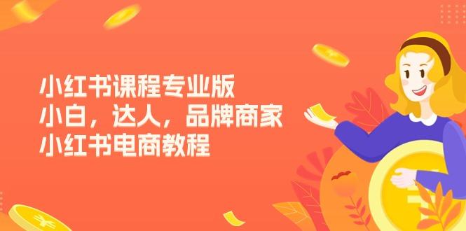 小红书课程专业版，小白，达人，品牌商家，小红书电商教程(15节-天使资源网