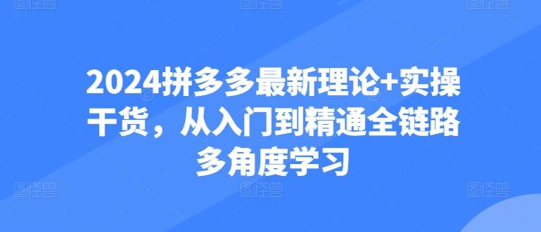 2024拼多多最新理论+实操干货，从入门到精通全链路多角度学习-天使资源网