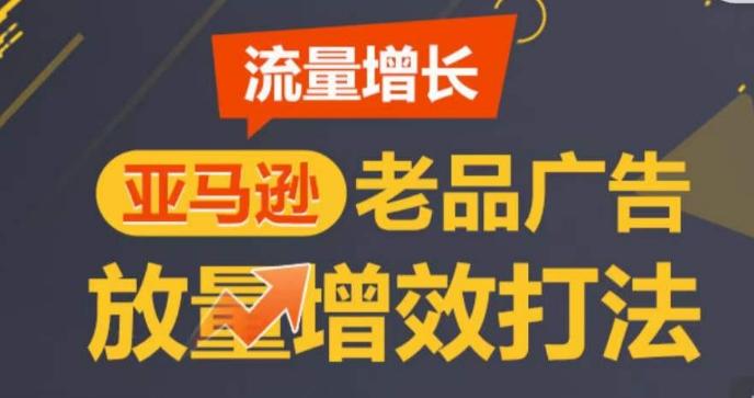 亚马逊流量增长-老品广告放量增效打法，循序渐进，打造更多TOP listing​-天使资源网