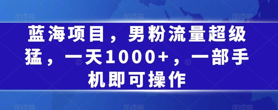 蓝海项目，男粉流量超级猛，一天1000+，一部手机即可操作【揭秘】-天使资源网