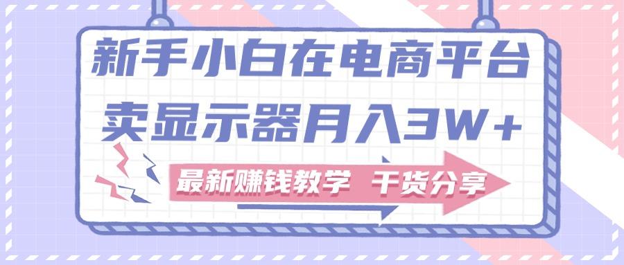 新手小白如何做到在电商平台卖显示器月入3W+，最新赚钱教学干货分享-天使资源网