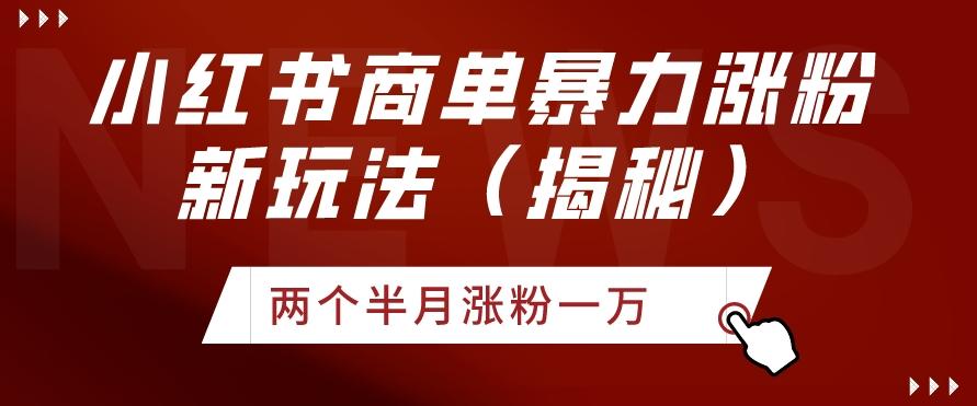 小红书商单暴力涨粉新玩法两个半月涨粉一万（揭秘）-天使资源网
