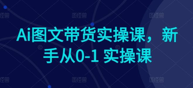 Ai图文带货实操课，新手从0-1 实操课-天使资源网
