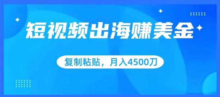 短视频出海赚美金，复制粘贴批量操作，小白轻松掌握，月入4500美刀【揭秘】-天使资源网