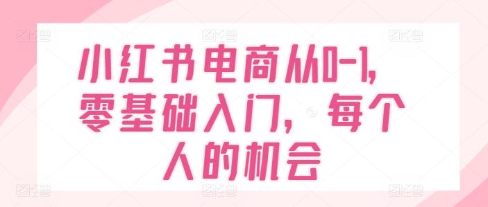 小红书电商从0-1，零基础入门，每个人的机会-天使资源网