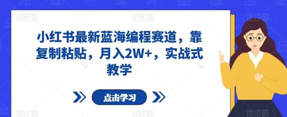 小红书最新蓝海编程赛道，靠复制粘贴，月入2W+，实战式教学【揭秘】-天使资源网