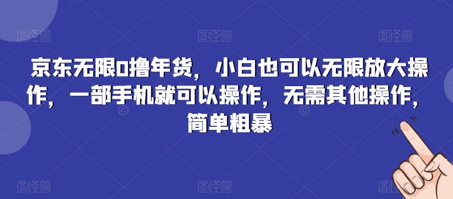 京东无限0撸年货，小白也可以无限放大操作，一部手机就可以操作，无需其他操作，简单粗暴-天使资源网