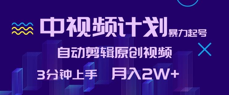 中视频计划暴力起号，自动剪辑原创视频，3分钟上手，月入2W+【揭秘】-天使资源网