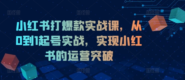 小红书打爆款实战课，从0到1起号实战，实现小红书的运营突破-天使资源网