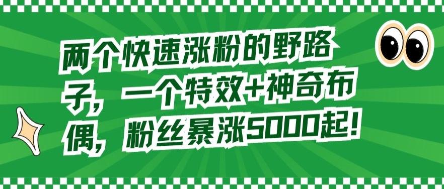 两个快速涨粉的野路子，一个特效+神奇布偶，粉丝暴涨5000起【揭秘】-天使资源网