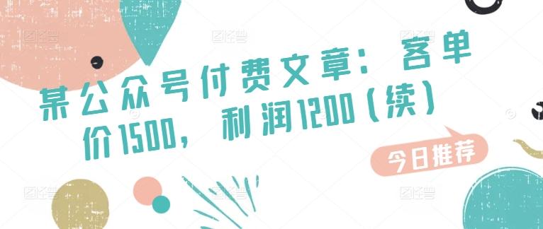 某公众号付费文章：客单价1500，利润1200(续)，市场几乎可以说是空白的-天使资源网